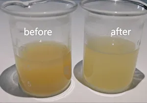 تفكيك خلايا Lactobacillus